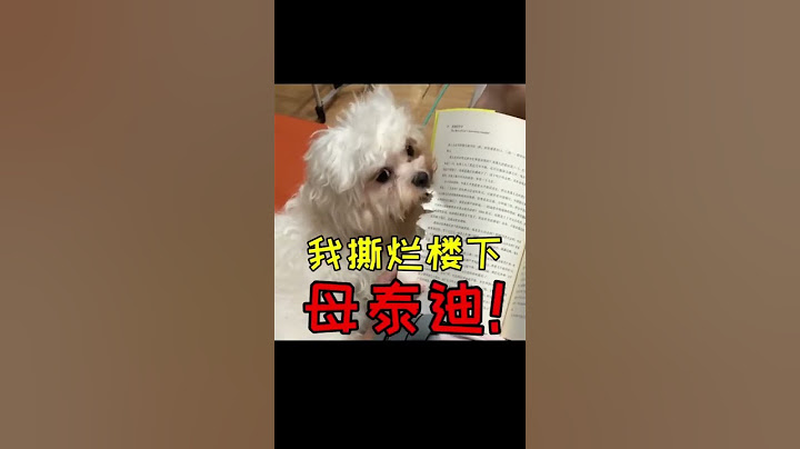 【柯铭】狗狗也会有两副面孔吗 #萌宠 #喵哥是萌新 #搞笑 #萌宠 #喵哥是萌新 #搞笑 #老友狗狗 #pets #萌寵