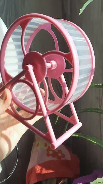Review of the Hamster Wheel 🎡