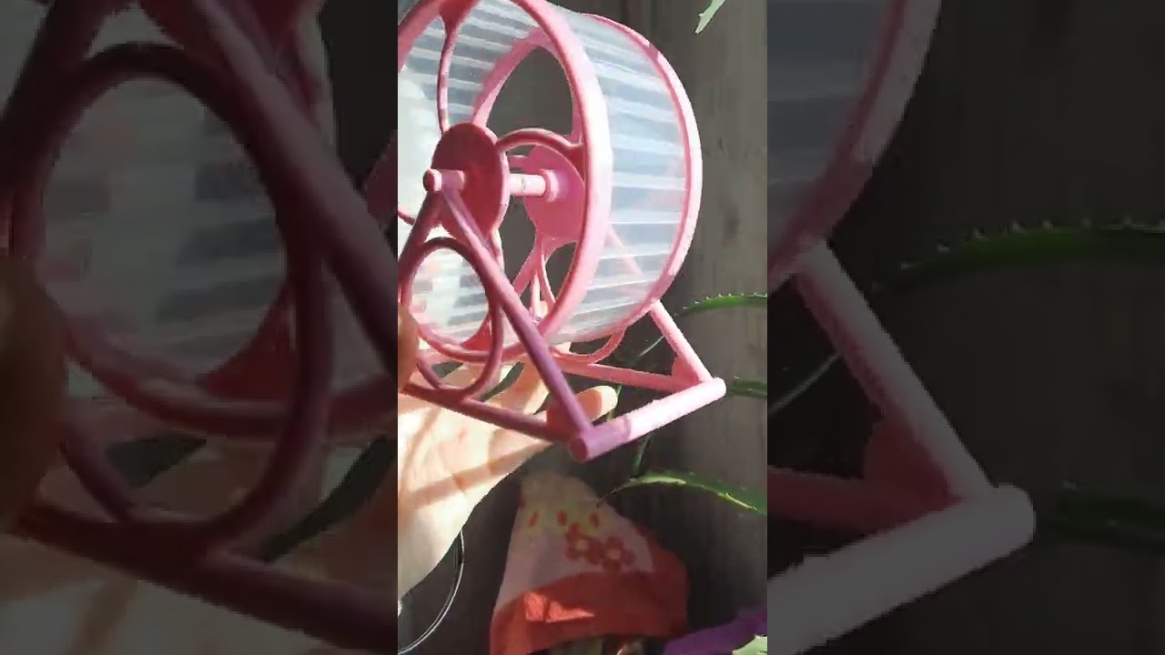Review of the Hamster Wheel 🎡
