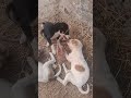 #lessons