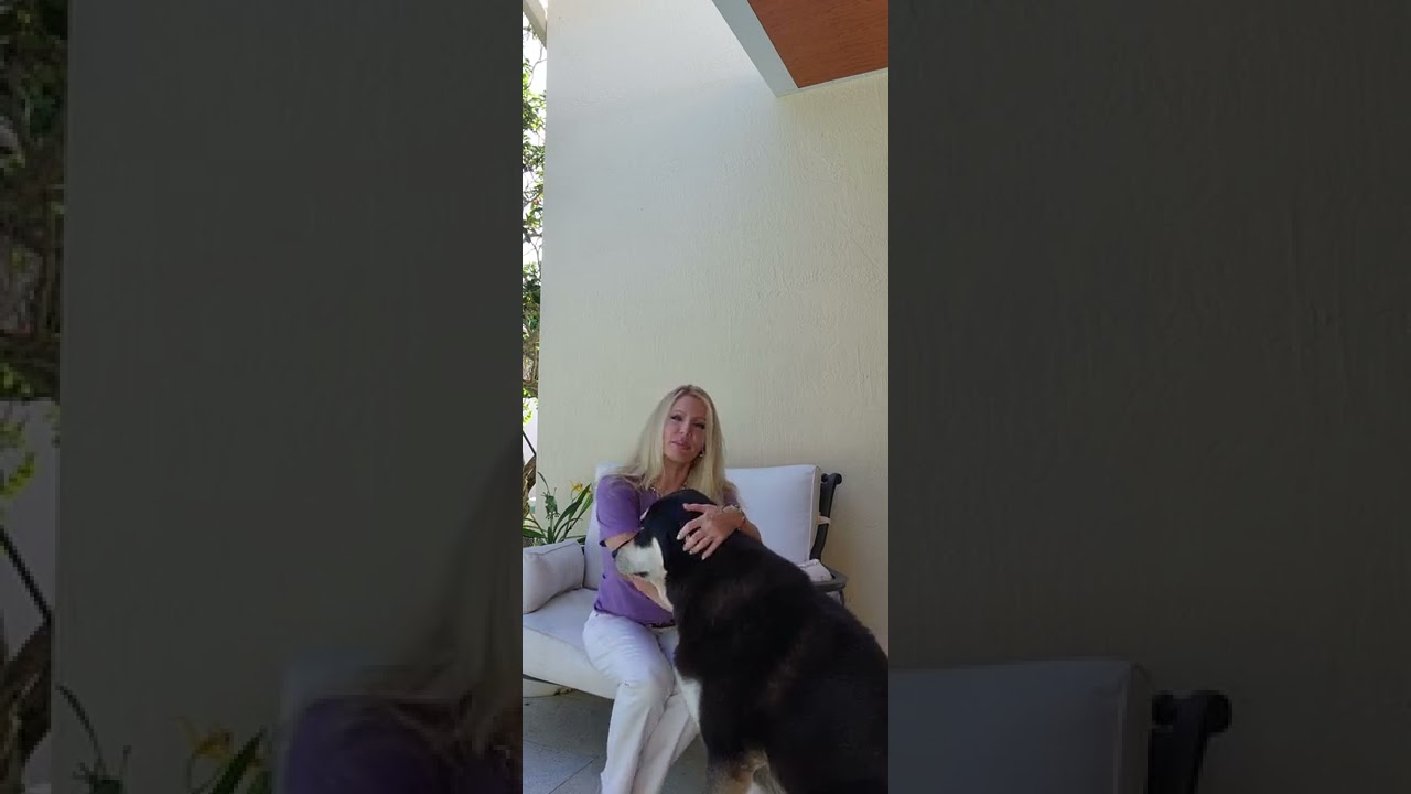 The 8th Annual APL/FOX8 DICK GODDARD TELETHON, Cleveland, Ohio. 🐱🐶🐰