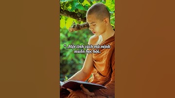 Một tính cách mà bạn nên học hỏi #cuocsong #tamtrang #mindfulness #tamtrangcuocsong #baihoccuocsong