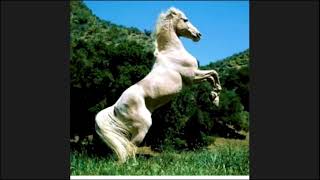 CHAPTER 2 BINARY COMPUTING EXERCISE  17/07/2020 7TH CLASS