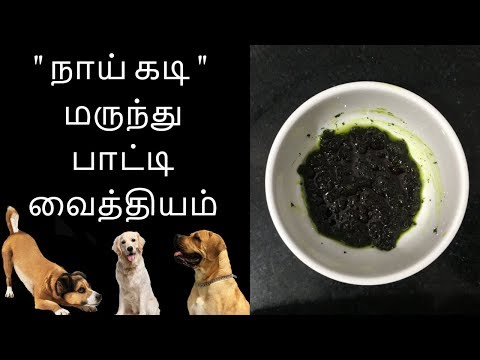 நாய் கடி மருந்து - Tamil health tips