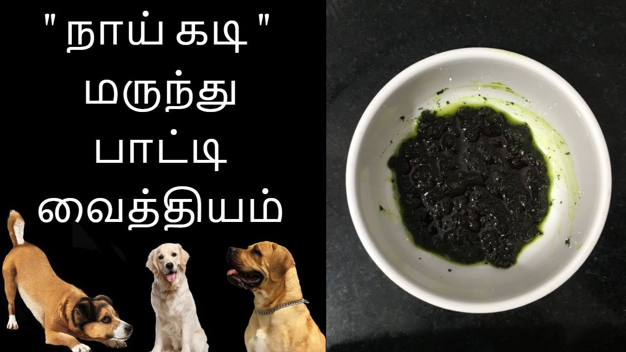 நாய் கடி மருந்து - Tamil health tips - YouTube