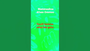 Mammaaksa Afaan Oromoo 