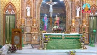 🔴 Live 28 November 2025 @ Vailankanni Shrine Basilica