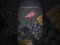 I know this video makes no sense minecraft shorts I know this video makes no sense minecraft shorts
