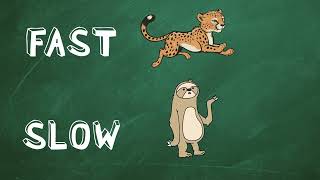 Learn Synonyms and Antonyms | Easy English Lesson for Elementary Students