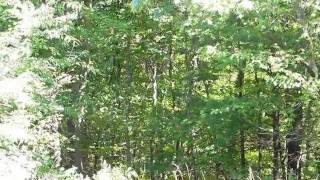 Homes for Sale - Silver Lake Road Dingmans Ferry PA 18328 - Roy Hull