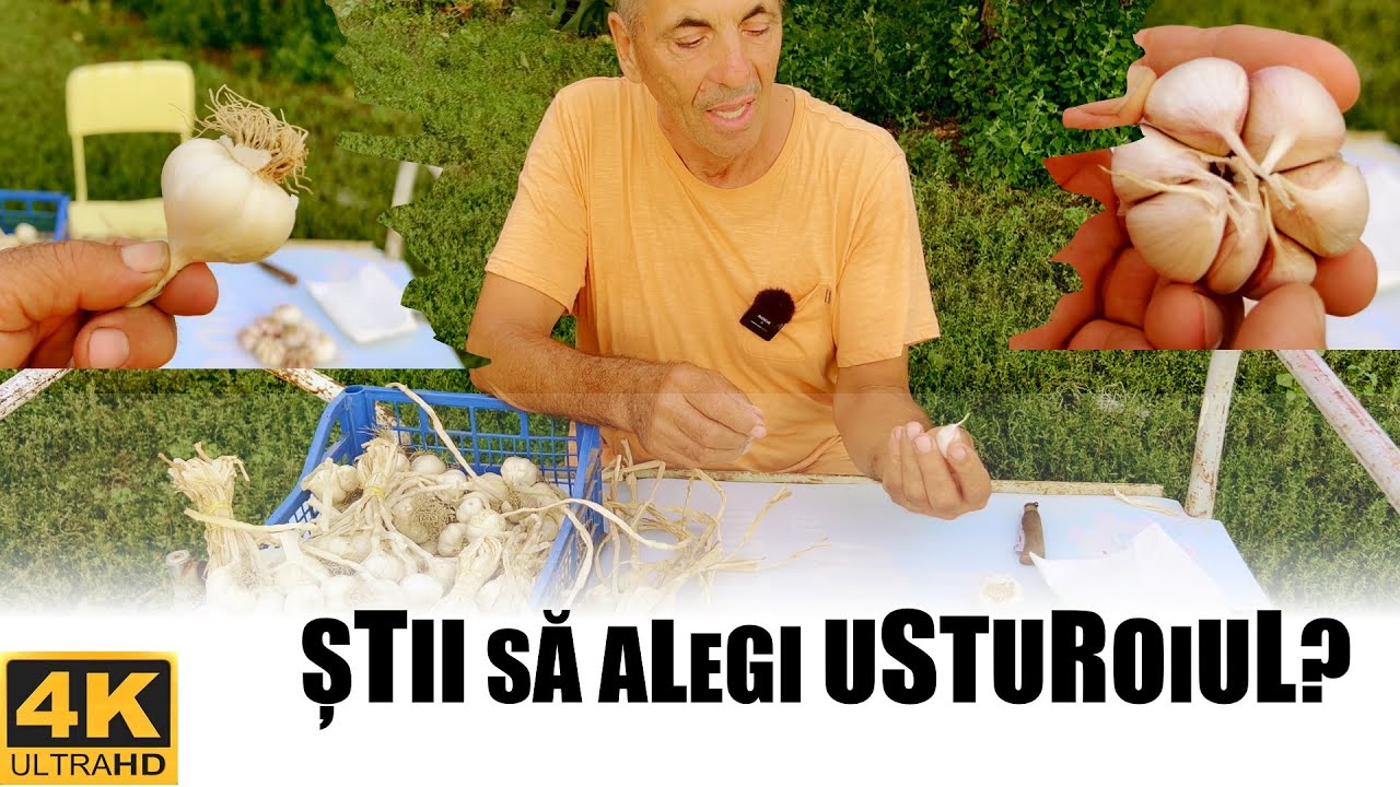 Usturoiul romanesc sau usturoiul de import?