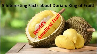 Malaysia’s SMELLIEST Fruit 😱 | Eating Durian with the National Baseball Team 🇲🇾 | 5 Fun Facts!