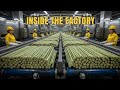 How Sugar Is Made | From Sugarcane Harvesting to Sugar Factory Production (Full Documentary)