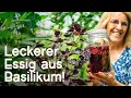 DIY: Hausgemachter Basilikumessig für Dressings &amp; Salate! 😍🤤