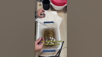 Vinegar Etching Petoskey Stone, Yooperlite and Puddingstone