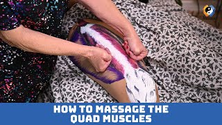 How to Massage the Quad Muscles | #quadmuscles