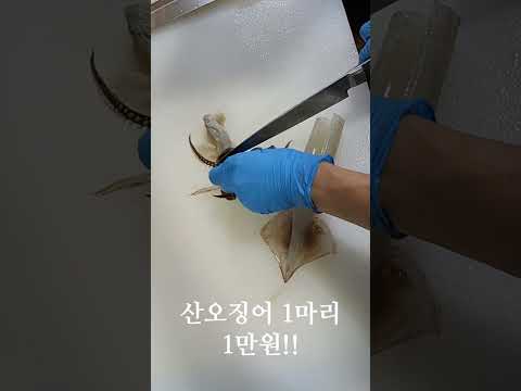 오징어회를 좋아하신다면 마포농수산물시장 풍어수산!!