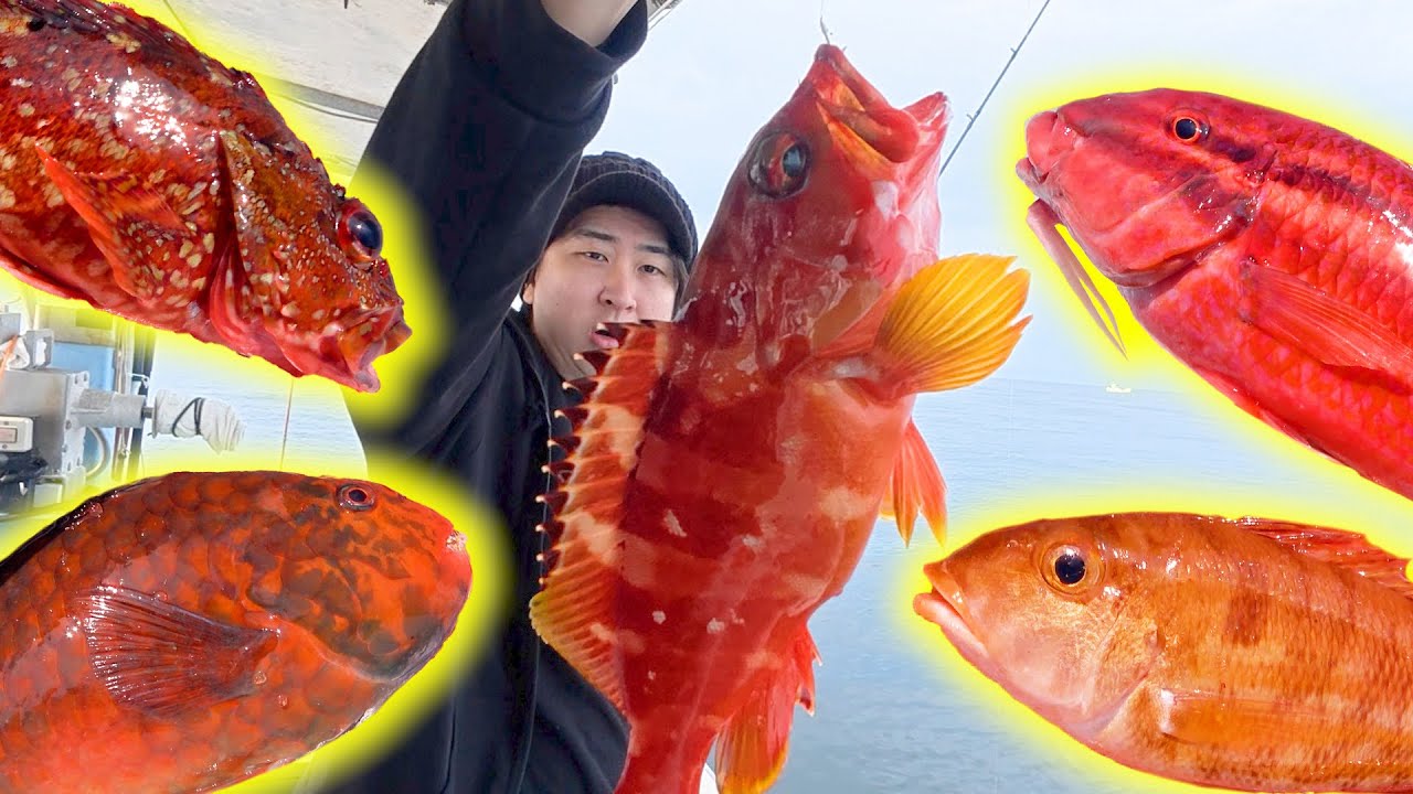 With underwater drone] A spot where only red fish bite—until that 