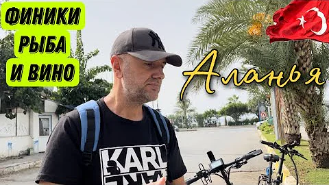 ГДЕ РАСТУТ финики и как их добыть? #vlog