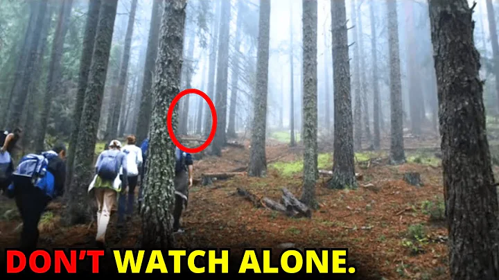 30 SCARIEST Trail Encounters That Will Make You AFRAID | Scary Comp V216