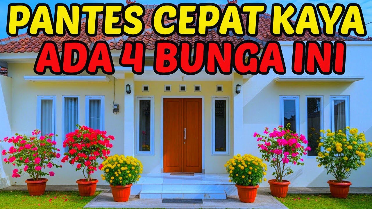 4 BUNGA PEMBAWA REZEKI DAN KEKAYAAN | TANAMAN PEMBAWA KEBERUNTUNGAN 