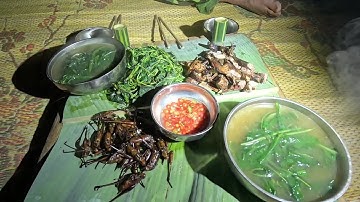 #762. Cuộc sống tự nhiên nơi hoang dã, phiêu lưu trong rừng