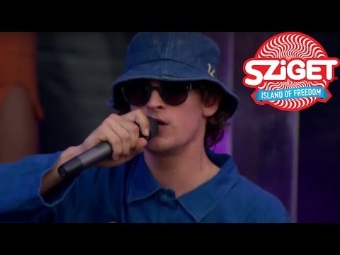 Rudimental feat. Will Heard - I Will For Love Live @ Sziget 2015