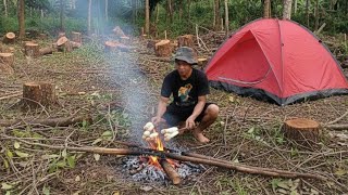Merintis Kebun sendirian ditengah hutan