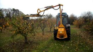 Orchard Tree Trimming. Vitifruit Equipment.