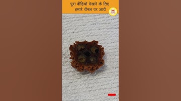 ORIGINAL RUDRAKSH KI PAHCHAN असली रुद्राक्ष की पहचान कैसे करें #shorts #youtubeshorts