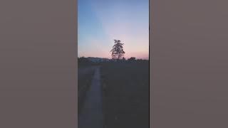 Download lagu Vani fabiola (DI BATAS KOTA INI)