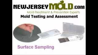 Mold Inspection NJ : Mold Testing :732-504-3743 | NewJerseyMold.com