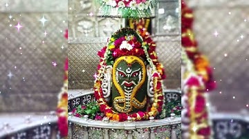 Shiv Vani | Shiv Gyan | Devon Ke Dev Mahadev Vani | Whatsapp Status | Instagram status #Mahadev_Vani