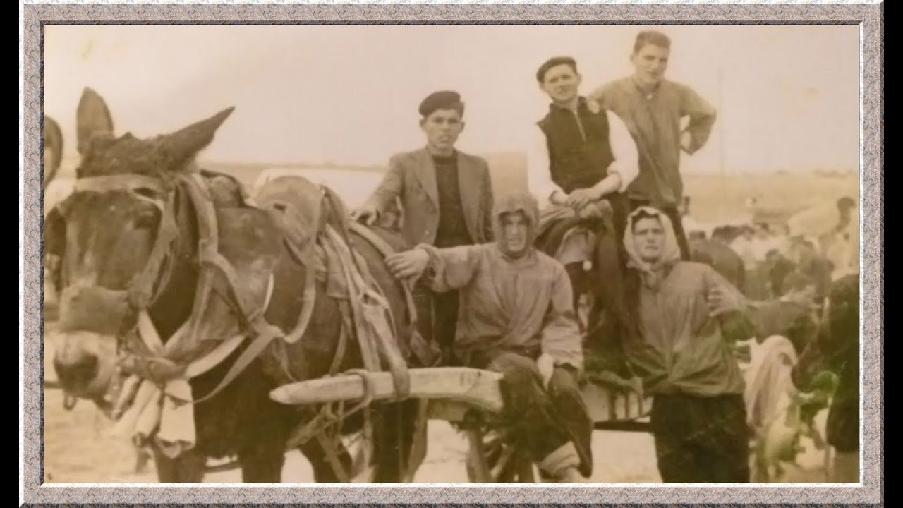 Fotos Entrañables de Antaño ( Tomelloso )