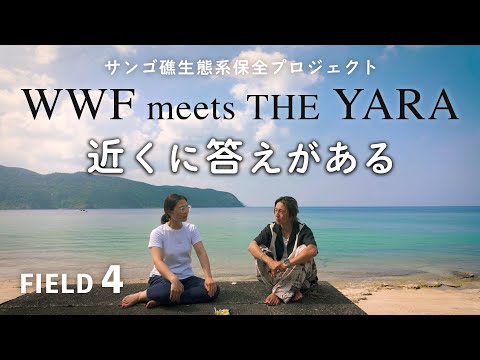 THE YARA × Tomoyuki Yara - YouTube
