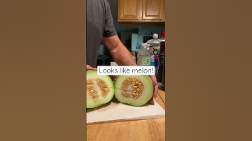 This grew in my garden! What is it? #melon #cucumber #melon