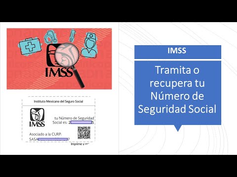 Tramita o recupera tu NÚMERO DE SEGURIDAD SOCIAL (NSS) desde el portal del IMSS  sin salir de casa