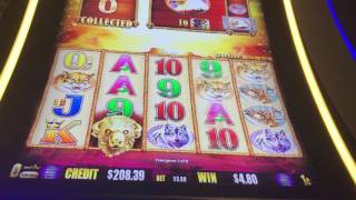 Buffalo Gold Max Bet Bonus Free Games. FML FAIL. Ugh!!