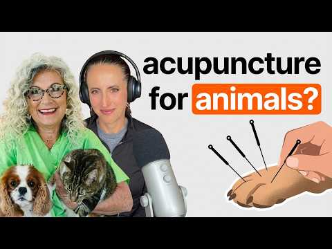 Why Animals Also Benefit From Acupuncture with Dr. Judy Morgan