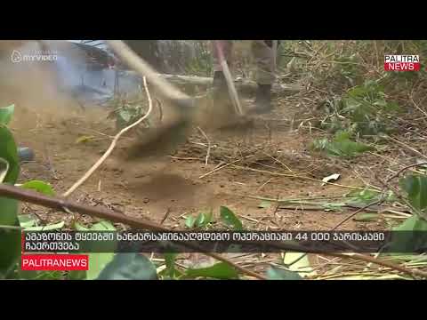 ამაზონის ტყეებში ხანძარსაწინააღმდეგო ოპერაციაში 44 000 ჯარისკაცი ჩაერთვება