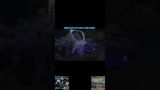 Young Dolph x Key Glock x Major x Bin Laden Weed #remix #keyglock #youngdolph #paperrouteempire