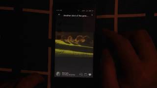 ion photo sharing demo screenshot 4