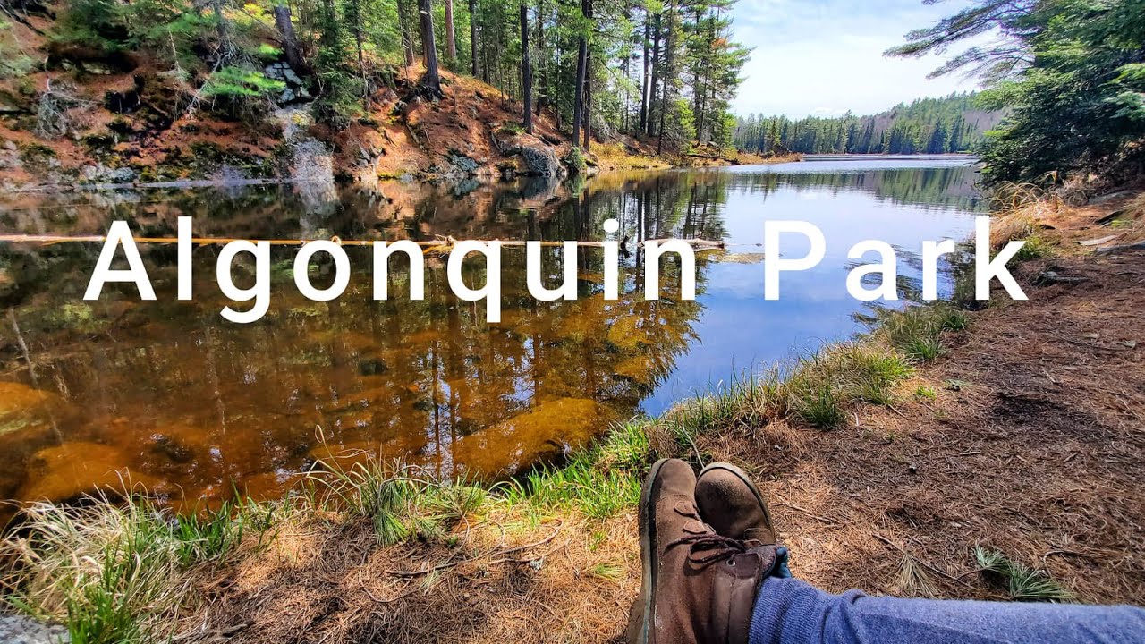 Hiking Beaver Pond Trail In Algonquin Provincial Park 🇨🇦