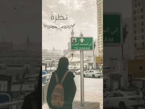 ليتني في سراب الحمام
