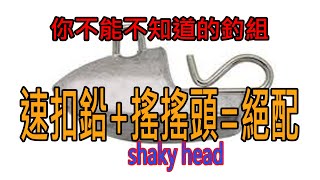 路亞人一定要知道的釣組,速扣鉛+搖搖頭(shaky head)=絕配[阿宏釣魚日記]