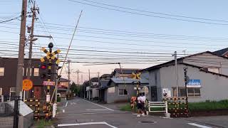 北陸鉄道 石川線  押野3号踏切