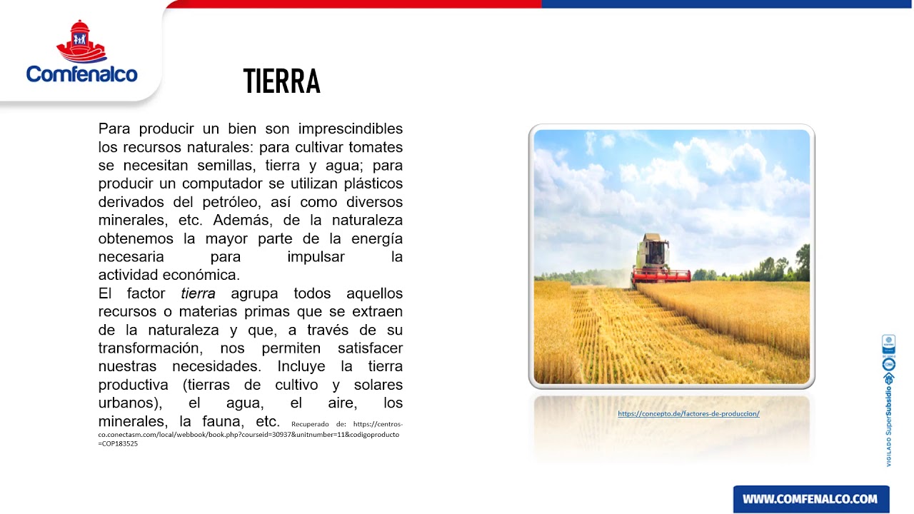 ¿Por qué es importante estudiar La economía ? YouTube ¿Por qué es importante estudiar La economía ? YouTube