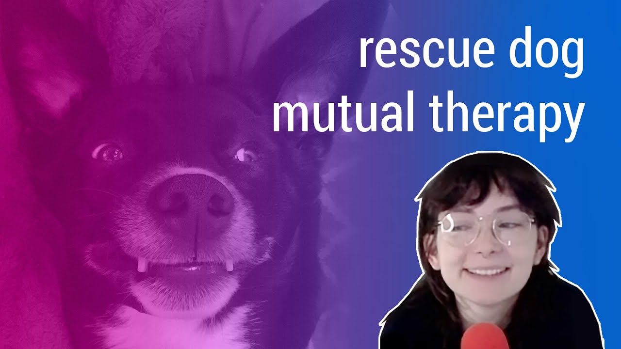 korviday rambles - adopting a dog with trauma