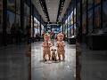 Twin Babies at Mall Photography Exhibition | Emotional & Artistic Baby Moment