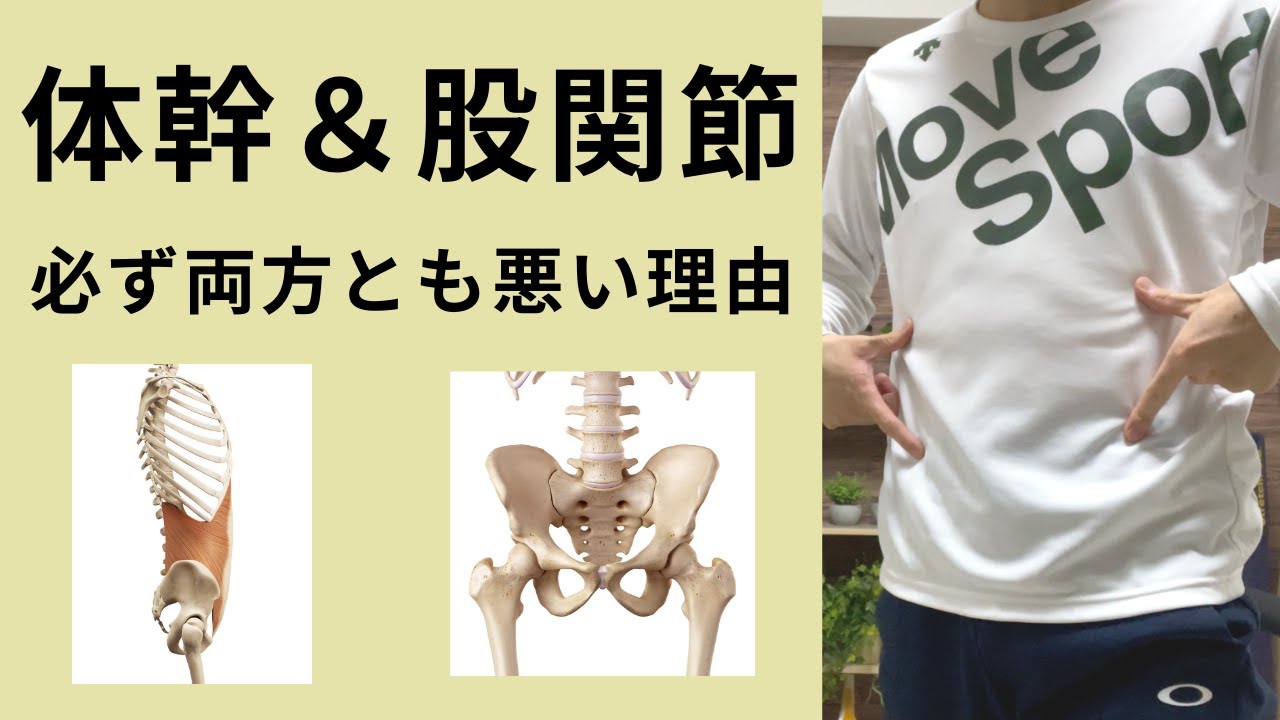 【体幹と股関節は必ずどちらも悪くなる】「体幹だけ悪い」「股関節だけ悪い」は基本ない！体幹トレーニング＆股関節ストレッチしても本当の意味では改善してない理由とは？【愛媛県松山市　ピラティス・姿勢・痛み】